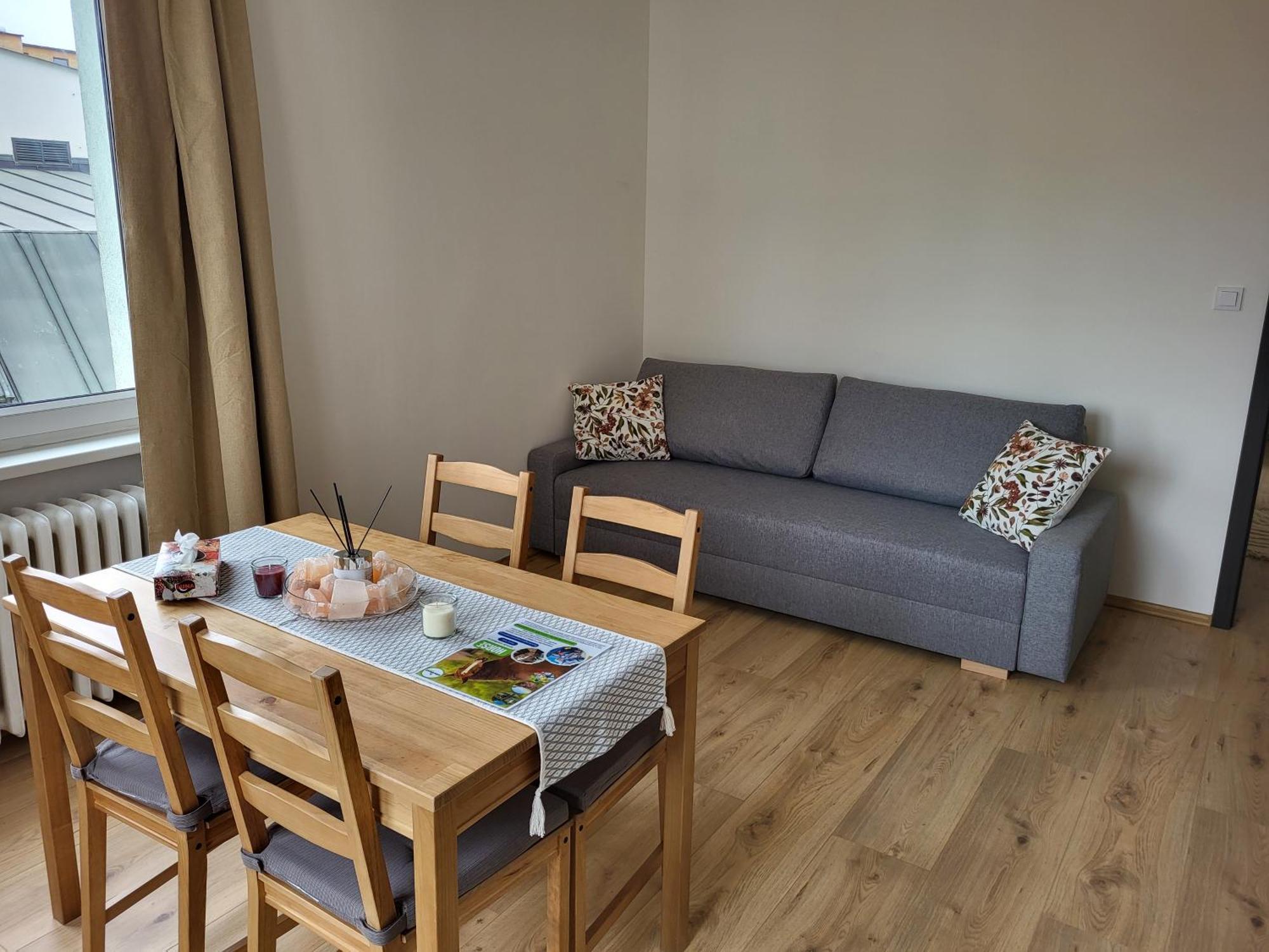 City Center Apartments - Moderna Brno Rimske Namesti IV Экстерьер фото